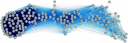 Network of global economic competition on export-markets
